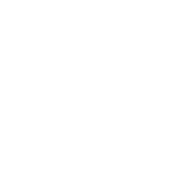 Aurora Ideas